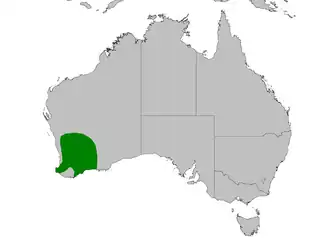 Description de l'image Dasyurus geoffroii distribution map.PNG.