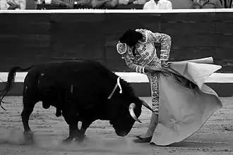 Image illustrative de l’article David Mora (torero)