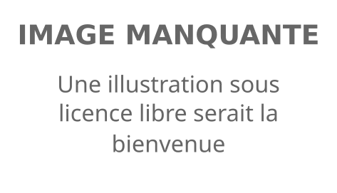 Voir l'illustration.