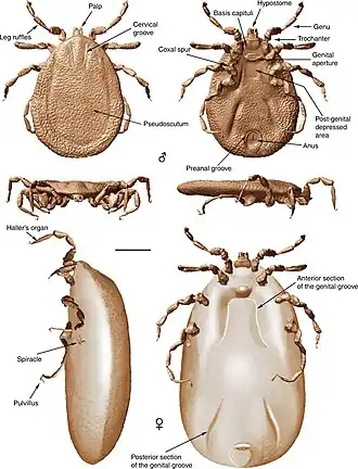 Description de cette image, également commentée ci-après