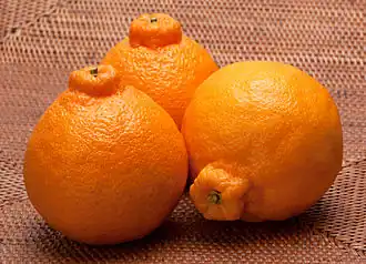 Description de l'image Dekopon.jpg.