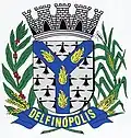 Delfinópolis