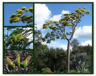 Description de cette image, également commentée ci-après