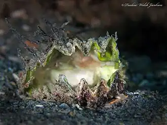 Description de cette image, également commentée ci-après