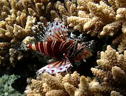 Île de la Réunion, France