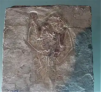 Description de cette image, également commentée ci-après