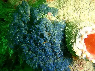 Description de cette image, également commentée ci-après