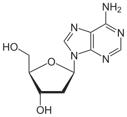 structure chimique de la désoxyadenosine