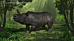 Diaceratherium lemanense