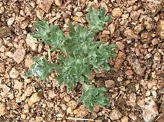 Description de cette image, également commentée ci-après