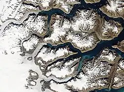 Image satellite du fjord Dickson (au centre).