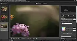 Description de l'image Digital Photo Professional 4 (Canon).jpg.