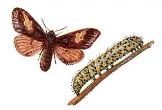 Description de cette image, également commentée ci-après