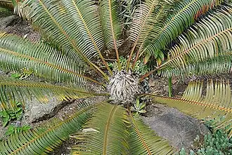 Description de cette image, également commentée ci-après