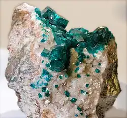 Dioptase - Tsumeb, Otjikoto Namibie (10 × 8 cm ; XX2,2cm)