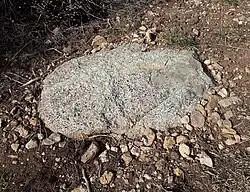 Gros caillou de diorite, pic de l'Estelle.