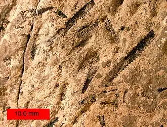 Description de cette image, également commentée ci-après