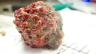 Description de cette image, également commentée ci-après