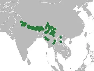 Description de cette image, également commentée ci-après