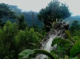 San Fernando (Nueva Segovia)