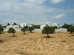 Vue d'un menzel, depuis un champ d'olivier, avec sa façade blanche dépourvue de portes.
