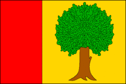 Drapeau de Dobrochov
