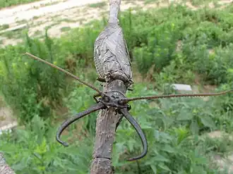 Description de cette image, également commentée ci-après