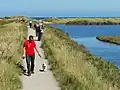 Un homme vêtu d'un tee-shirt rouge promenant un chien sur un sentier.
