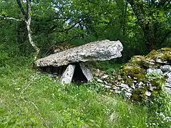 name=Dolmen des Causses Hauts no&nbsp;1