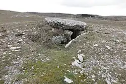 Image illustrative de l’article Dolmen de la Serre Gaoujac
