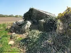 Image illustrative de l’article Dolmens de Keredo-er-Run