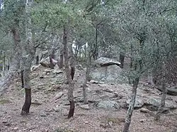 Le dolmen dans son environnement (décembre 2011).
