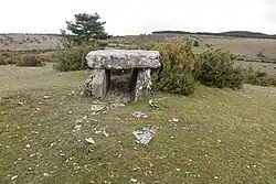 Image illustrative de l’article Dolmen du Buisson