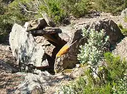 Image illustrative de l’article Dolmens du Camp Gran