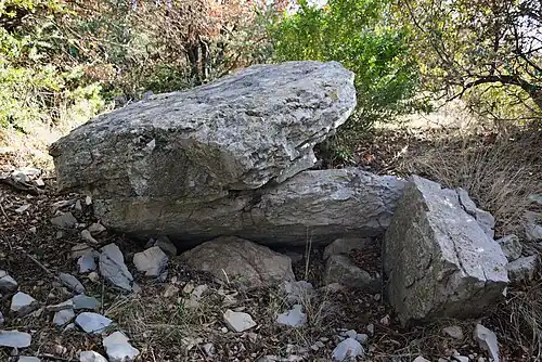 Dolmen du Col de l'Aubret.
