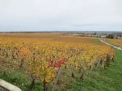 Les climats du vignoble de Bourgogne.