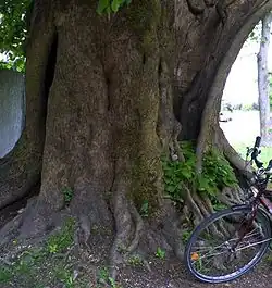 Herzogenreuth&nbsp;(de)