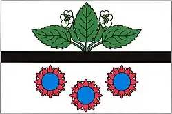 Drapeau de Doubravice