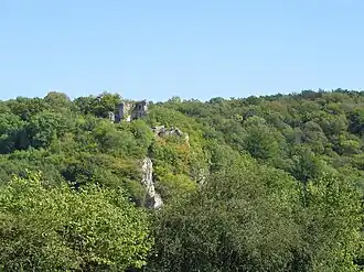Ruines du château de Hauteroche à Dourbes.