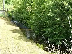 La Dozanne à Saint-Fréjoux.