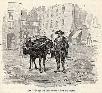 Un Valaque d'Istrie (Tschitsche en allemand) vers la fin du XIXe siècle.