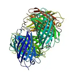 Image illustrative de l’article DsRed