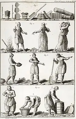 Duhamel du Monceau, mise en caque des harengs