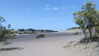 Dunes de sable du désert de Baní, République dominicaine.