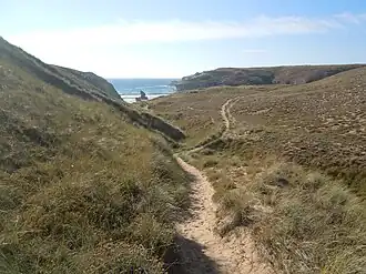 Vallon sec entre les dunes