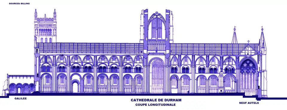 Coupe longitudinale.