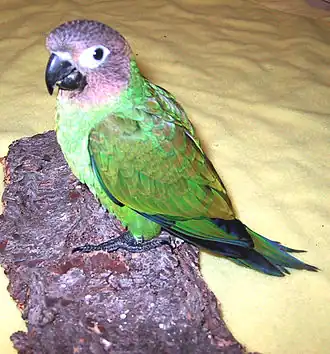 Description de cette image, également commentée ci-après