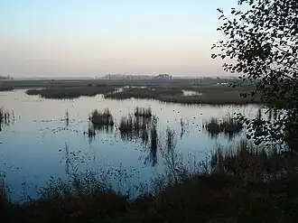 Image illustrative de l’article Lac Efteni