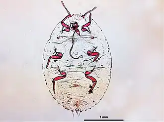 Description de cette image, également commentée ci-après
