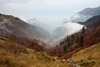 La réserve naturelle Djendema&nbsp;(en).